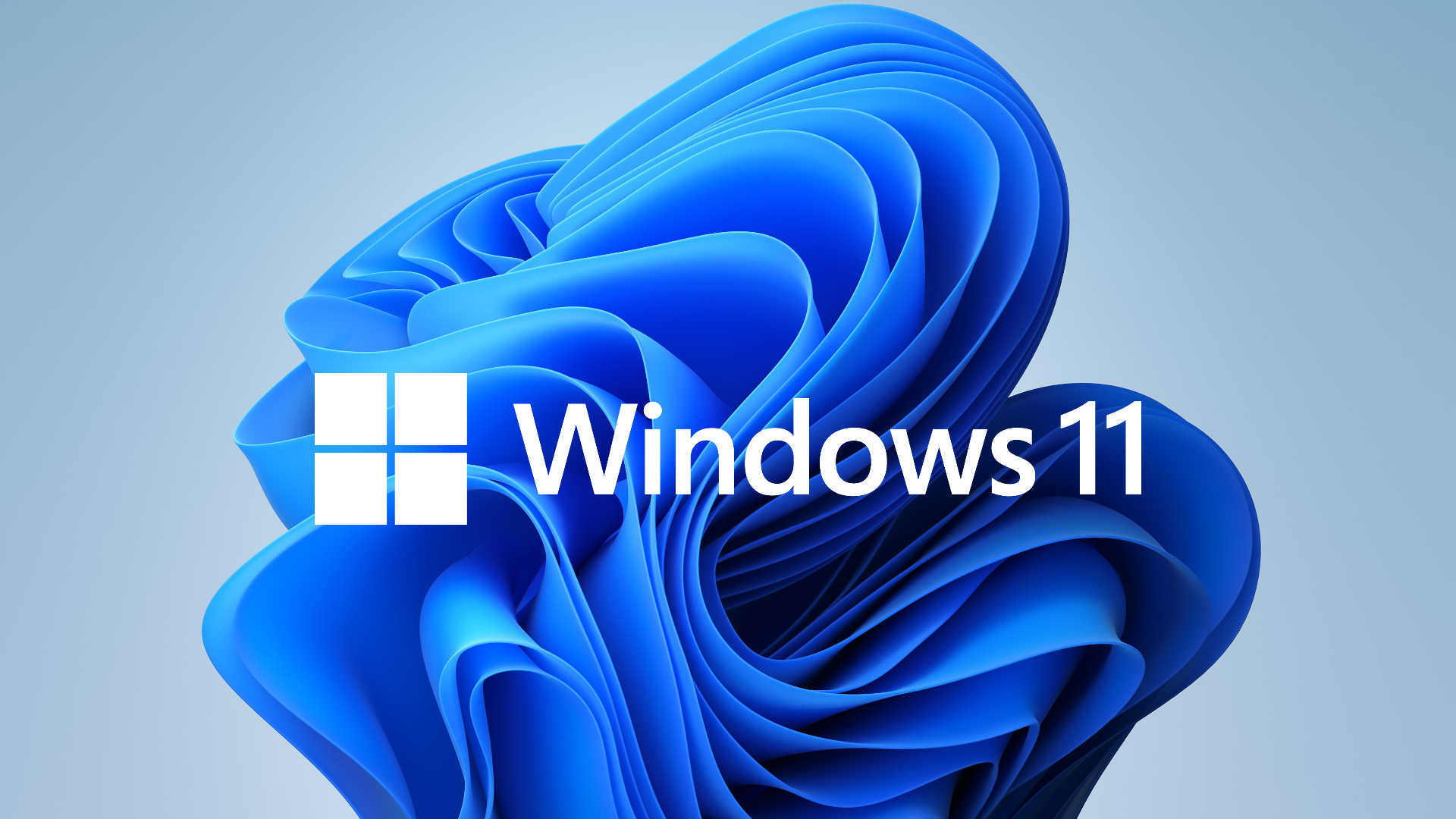 Windows 11 logo with background